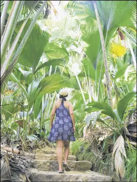  ?? STEVE MACNAULL PHOTO ?? Vallee de Mai, the so-called Garden of Eden, is the primeval forest of supersized palm trees on Praslin island.