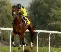  ?? KT file ?? Jockey Tadhg O’Shea (left) tasted another success at Abu Dhabi. winning the 1600m race on Sunday evening. —