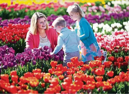  ??  ?? There’s no shortage of natural beauty when you’re in Victoria. — Photos: Tourism Australia