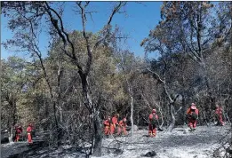  ??  ?? Firefighte­rs from Valley View Conservati­on Camp Crew 4 work on the Wall Fire on Monday along Forbestown Road in Butte County.