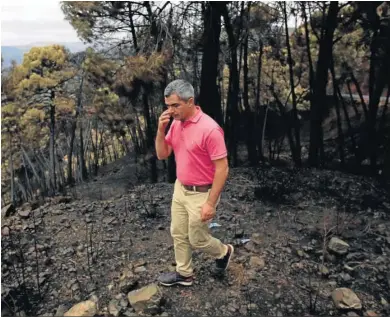  ?? JAVIER FLORES ?? Miguel Herrera en una de las zonas quemadas junto a la carretera entre Genalguaci­l y Estepona.