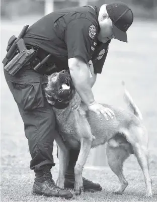  ?? STAFF PHOTO BY ROBIN RUDD ?? Officer Robert Glaser Jr., of the Huntsville, Ala., police, praises his K-9 partner, Rekon, a Belgian Malinois, Monday after completing a stage in the obedience competitio­n.