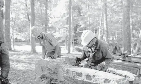  ?? MARCIA MARKLEY/NATIONAL PARK SERVICE ?? Crews restore masonry grills in September at Grandview New River Gorge National Park and Preserve in West Virginia.