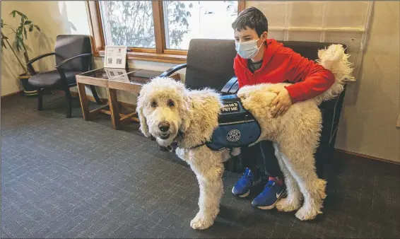  ?? (Herald & Review/Clay Jackson) ?? Maxwell Donley, 12, pets Bob during a visit at Central Illinois Smiles in Decatur, Ill.