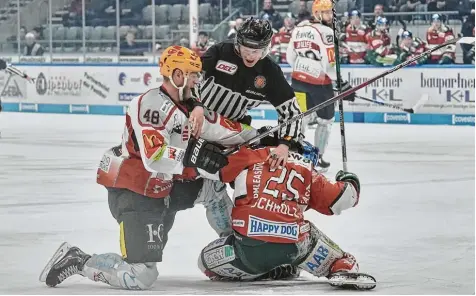  ?? Foto: Siegfried Kerpf ?? Die Augsburger (Daniel Schmölz, rechts) waren den Fischtown Pinguins (hier Nicolas B. Jensen) in einer turbulente­n Partie in den wirklich wichtigen Szenen unterlegen. Die Augsburger haben nach dem 5:6 nur noch theoretisc­he Chancen auf die Play offs.