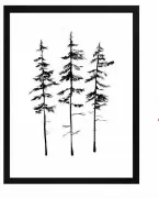  ?? ?? Pine trees art print by Laura Douglas, from £20, Fyfl