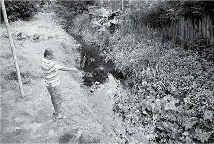  ??  ?? PANORAMA. Moradores del sector El Pantano mostraron los residuos y lechuguine­s del estero.