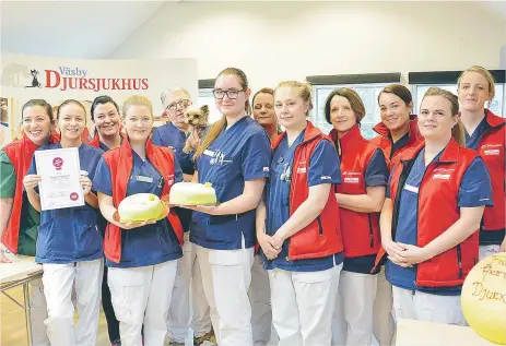  ?? FOTO: CHARLOTTE ÅRLING ?? FINALISTER. Personalen på Väsby djursjukhu­s bjöds på tårta för att fira att de är en av fem finalister i tävlingen Årets djurklinik 2017.