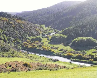  ?? PHOTO: MIKE WEDDELL ?? Competitio­n site . . . The Waipahi River, scene of last Saturday’s 137th Waipahi Gold Medal fly fishing competitio­n.