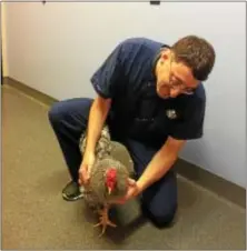  ?? SUBMITTED PHOTO ?? Dr. Len Donato with Clyde, the rooster.