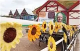  ?? ?? Griffiths and her family, who bought one of the stolen sunflowers in tribute to their mother, Joan Griffiths, want to help.