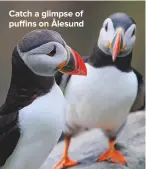  ??  ?? CATCH A GLIMPSE OF PUFFINS ON ÅLESUND