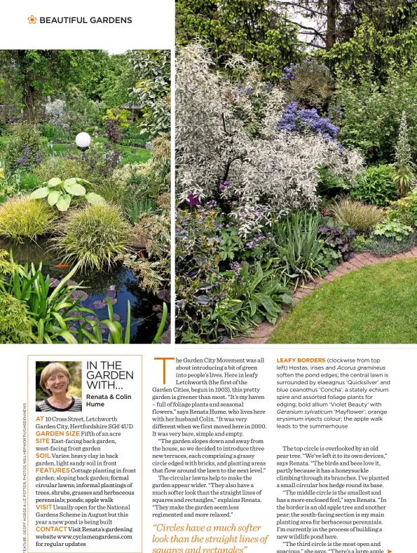  ??  ?? LEAFY BORDERS (clockwise from top left) Hostas, irises and Acorus gramineus soften the pond edges; the central lawn is surrounded by elaeagnus ‘Quicksilve­r’ and blue ceanothus ‘Concha’, a stately echium spire and assorted foliage plants for edging;...