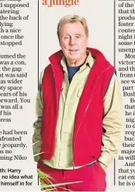  ??  ?? Out of his depth: Harry Redknapp had no idea what he was letting himself in for