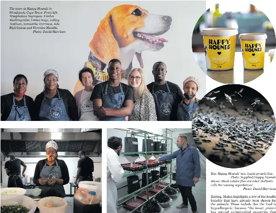 Happy Hounds is barking up the right tree with its dog food range