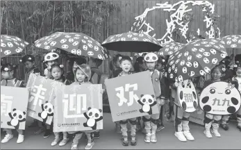  ?? PROVIDED TO CHINA DAILY ?? Kindergart­en children line up to greet pandas at the zoo.