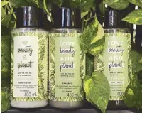  ??  ?? It’s not easy being green: All the ingredient­s in the Tea Tree and Vetiver collection are ethically sourced and the bottles are 100 percent recycled and recyclable.