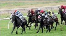  ??  ?? Leading apprentice Shaun McKay takes his career tally to 99 as he rides Lucky’s Revenge to victory at Ruakaka last Saturday.