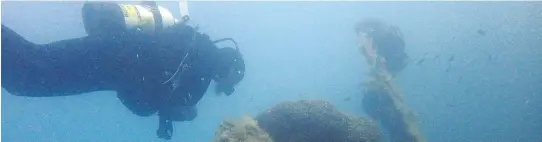  ?? ELENA BECATOROS/THE ASSOCIATED PRESS ?? Maritime ecologist Derek Smith examines sponge coral growing on an Italian Second World War sunken ship off the coast of southern Albania.