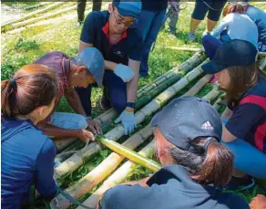  ??  ?? Building and decorating bamboo rafts is one of the activities during Pesta Rakit. — Shell