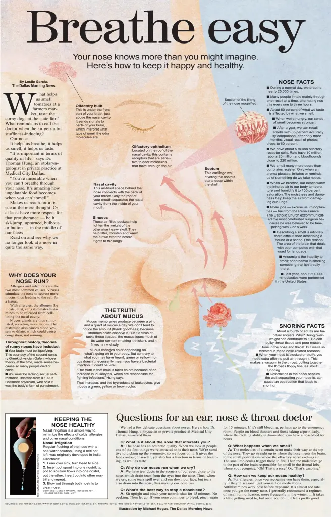  ??  ?? Olfactory bulb This is under the front part of your brain, just above the nasal cavity. It sends signals to parts of your brain, which interpret what type of smell the odor molecules are. Olfactory epithelium Located on the roof of the nasal cavity,...