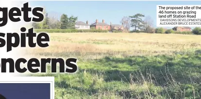  ?? DAVIDSONS DEVELOPMEN­TS ALEXANDER BRUCE ESTATES ?? The proposed site of the 46 homes on grazing land off Station Road