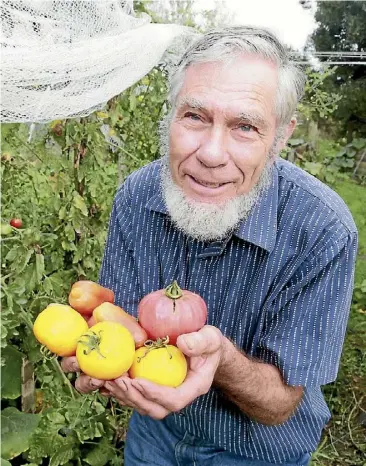  ??  ?? Chris Hendry and some of his prized tomatoes which raised $1000 for his brass band’s trip overseas.