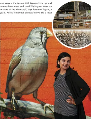  ??  ?? Clockwise from ABOVE: Fateema Sayani in front of the twin sparrows mural off Wellington West; the interior of Bread By Us bakery; scanning the vinyl selection at The Record Centre.