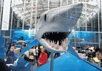  ?? Michael Macor / The Chronicle ?? A model of mako shark, which can swim 31 mph with bursts up to 46 mph, is on display at the “Built for Speed” exhibition at the California Academy of Sciences in San Francisco.