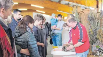  ?? FOTO: SGIER ?? Manfred Huchler vom Kleintierz­uchtverein Leutkirch (rechts) zeigt am Ostermonta­g den Besucher im Rahmen der Osterausst­ellung im Hasenheim, was bei der Pflege von Kaninchen beachtet werden muss.