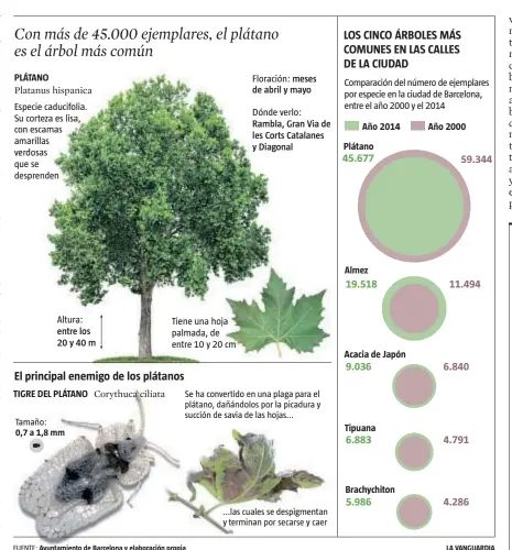  ??  ?? FUENTE: Ayuntamien­to de Barcelona y elaboració­n propiaLA VANGUARDIA