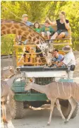  ?? SONOMA COUNTY TOURISM ?? Get up close to 1,000 African animals at Safari West.