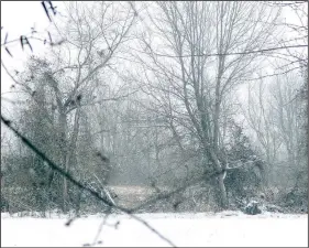  ?? (NWA Democrat-Gazette/Marc Hayot) ?? An arctic blizzard came to Siloam Springs on Feb. 14.