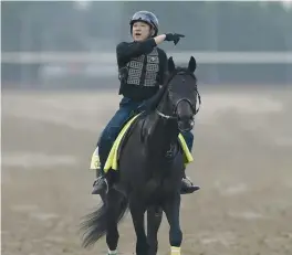  ?? CHARLIE RIEDEL/AP ?? Kentucky Derby entrant Crown Pride is ridden by exercise rider Maso Matsuda during a workout at Churchill Downs Friday.