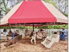  ?? PHOTOS BY MARCIA SCHNEDLER ?? Riders enjoy the Picnic Swing powered by donkey Whiskey.