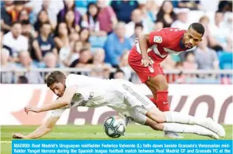  ?? — AFP ?? MADRID: Real Madrid’s Uruguayan midfielder Federico Valverde (L) falls down beside Granada’s Venezuelan midfielder Yangel Herrera during the Spanish league football match between Real Madrid CF and Granada FC at the Santiago Bernabeu stadium in Madrid yesterday.