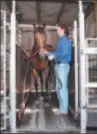  ??  ?? Caulfield Cup long shot Moudre works out on his treadmill.