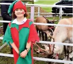  ?? ?? ●●Santa’s helper, Elizabeth Hanson, checks on the reindeer