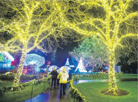  ??  ?? Visitors take in the Magic of Christmas light display at Butchart Gardens.