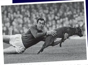  ??  ?? Left: Catching a dog that ran on to Leicester’s Filbert Street pitch in 1965. Right: Banks recovering in hospital in Stoke-on-Trent in 1972 following the crash that cost him an eye