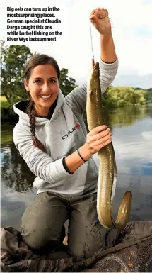  ??  ?? Big eels can turn up in the most surprising places. German specialist Claudia Darga caught this one while barbel fishing on the River Wye last summer!