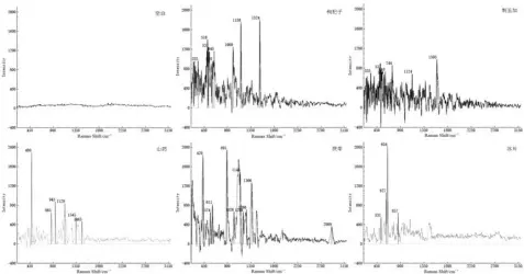 ?? ?? 图1 中药材拉曼谱图专属性­考察