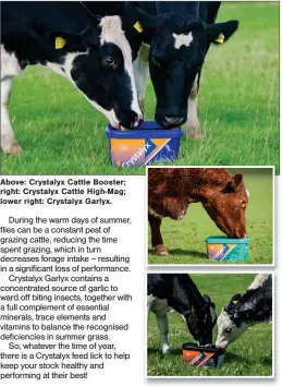  ?? ?? Above: Crystalyx Cattle Booster; right: Crystalyx Cattle High-mag; lower right: Crystalyx Garlyx.