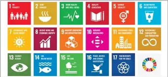  ??  ?? Sustainabl­e developmen­t goals establishe­d by the United Nations
Source: United Nations