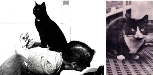  ??  ?? ABOVE: Devi with Black Velvet, 1955. ABOVE: Long-Whiskers, from the book Long-Whiskers and the Two-Legged Goddess.