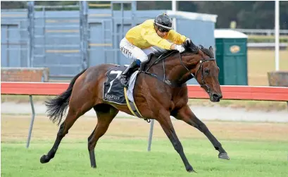  ??  ?? High Spirits is a possible runner in the Auckland Cup.