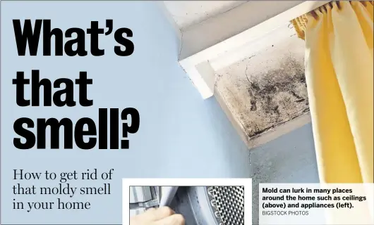  ?? BIGSTOCK PHOTOS ?? Mold can lurk in many places around the home such as ceilings (above) and appliances (left).