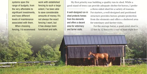  ??  ?? A well-designed run-in shed protects horses from the elements and offers a decent area for veterinary and farrier visits.