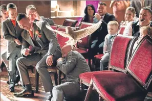  ??  ?? Well, owl be! The feathered ring bearer causes chaos at Jeni’s wedding