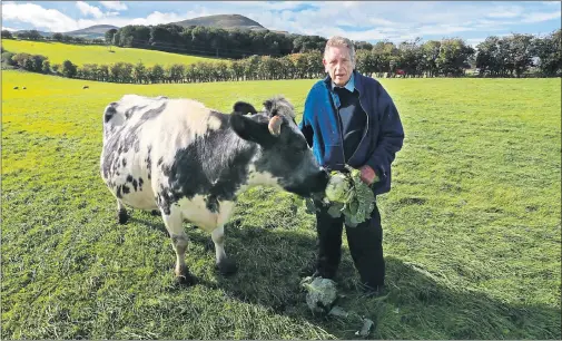  ??  ?? GREEN, GREEN GRASS OF HOME: But Jim Telfer fears being evicted from land that has been farmed by his family for 101 years to make way for a film studio. Pictures: Stewart Attwood